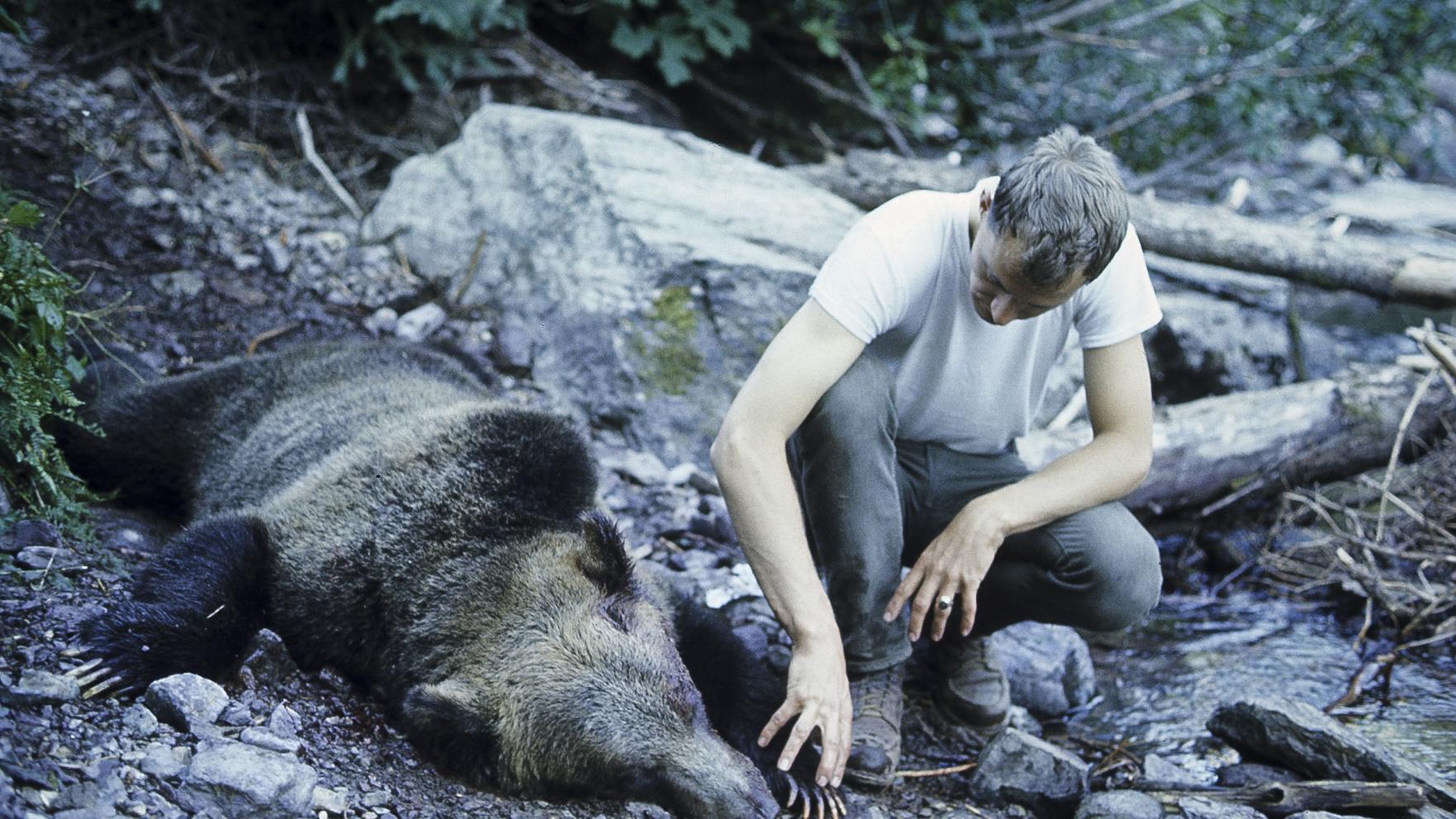 Night of the Grizzlies: How national park deaths led to changes in grizzly bear management